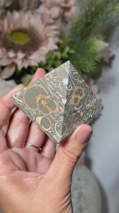 Turritella Agate Pyramid (#TB35)