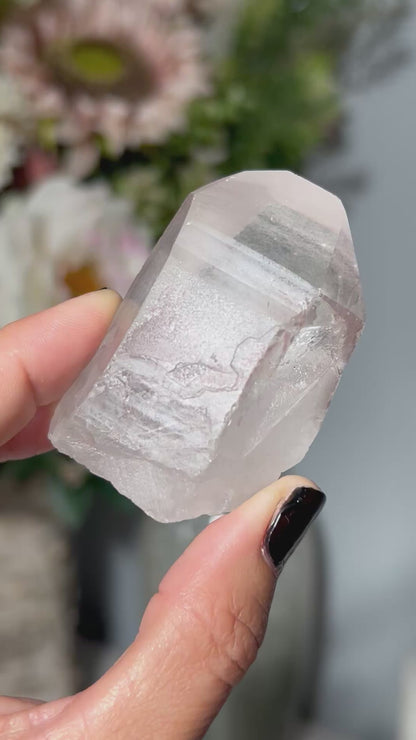 Lemurian Seed (2.3”, 59mm)