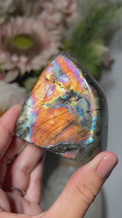 Labradorite Freeform (2.5", 65mm)