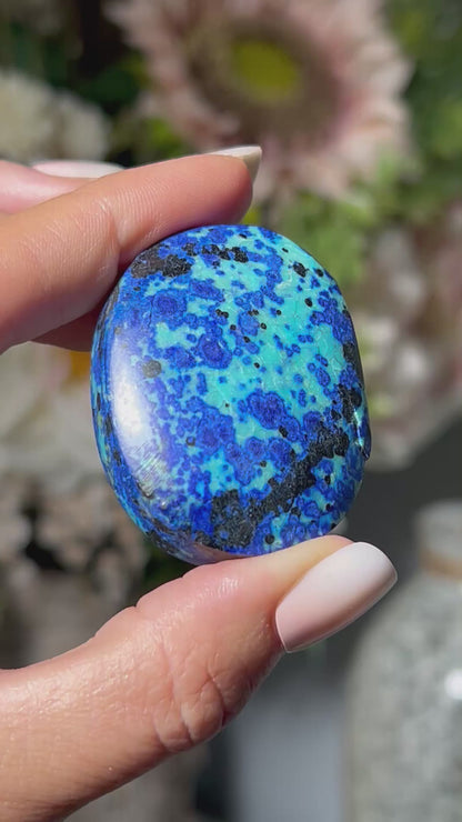 Azurite Chrysocolla Palm Stone #48