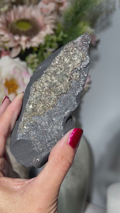 Pyrite on Shungite (4.9", 124mm)