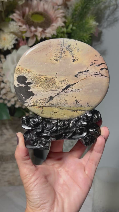 Picture Jasper Slice #280