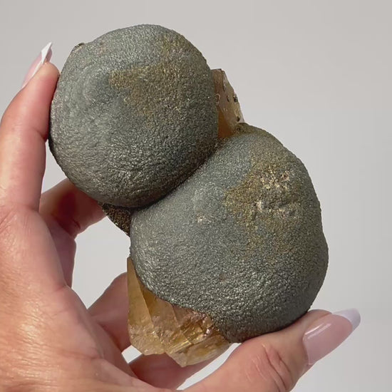 Hand holding a beautiful Botryoidal Pyrite Cluster with Calcite ethically sourced natural healing crystal gemstone for meditation over white background.