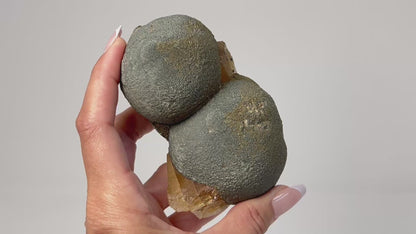 Hand holding a beautiful Botryoidal Pyrite Cluster with Calcite ethically sourced natural healing crystal gemstone for meditation over white background.