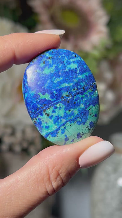 Azurite Chrysocolla Palm Stone #27